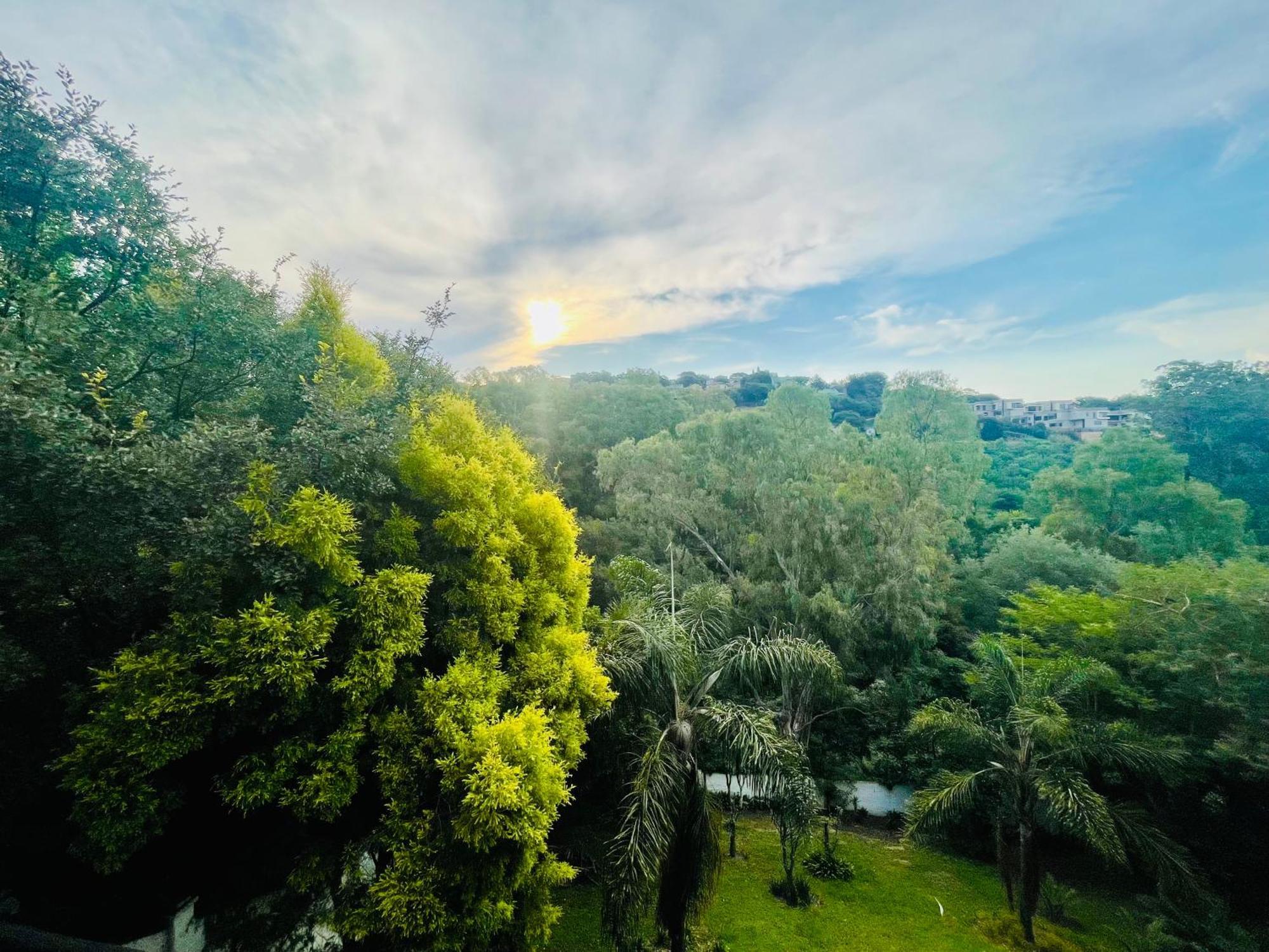 Pretoria Mansion Boutique Hotel Coral Tree المظهر الخارجي الصورة